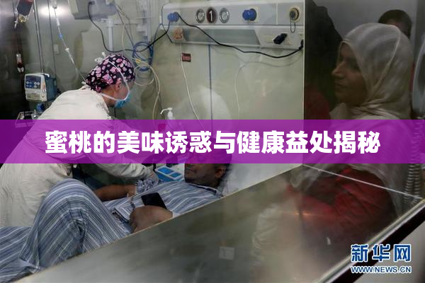 蜜桃的美味诱惑与健康益处揭秘