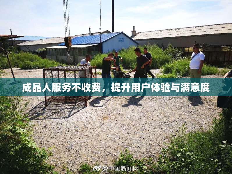 成品人服务不收费，提升用户体验与满意度