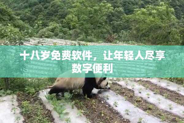 十八岁免费软件，让年轻人尽享数字便利