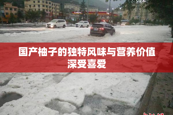 国产柚子的独特风味与营养价值深受喜爱