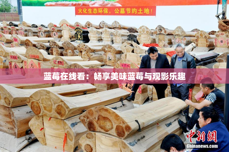 蓝莓在线看：畅享美味蓝莓与观影乐趣