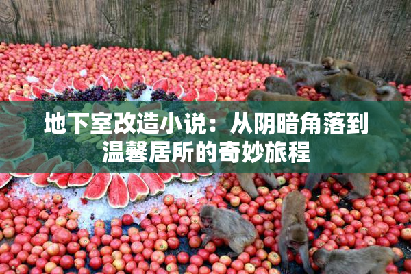 地下室改造小说：从阴暗角落到温馨居所的奇妙旅程