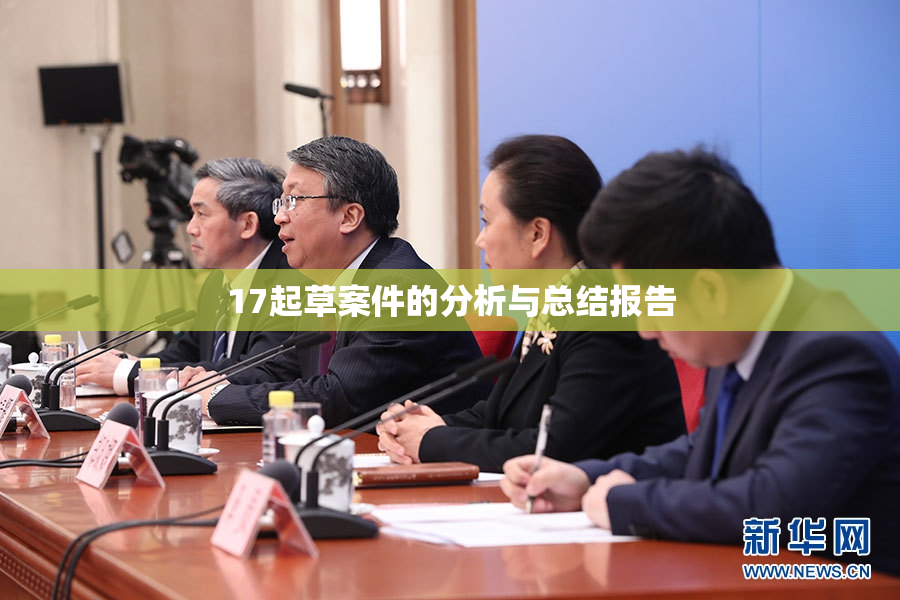 17起草案件的分析与总结报告