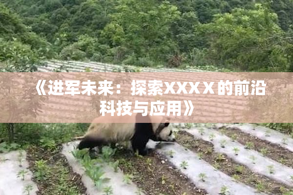 《进军未来：探索XXXⅩ的前沿科技与应用》
