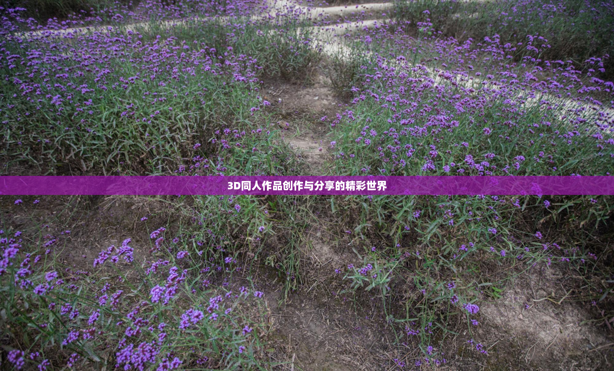 3D同人作品创作与分享的精彩世界