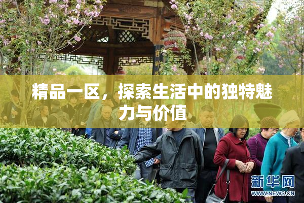 精品一区，探索生活中的独特魅力与价值