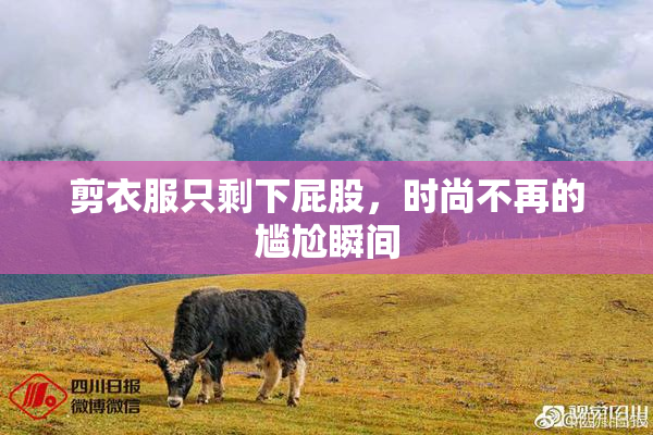 剪衣服只剩下屁股，时尚不再的尴尬瞬间