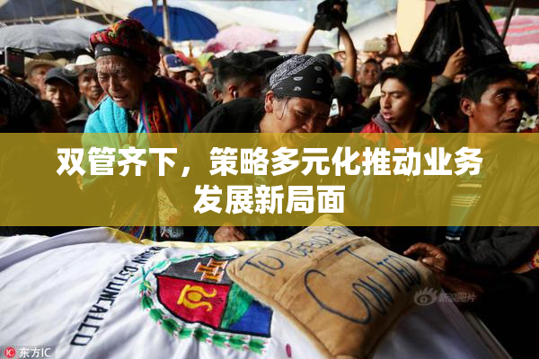 双管齐下，策略多元化推动业务发展新局面