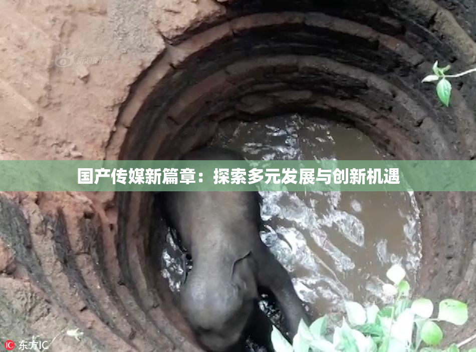 国产传媒新篇章：探索多元发展与创新机遇