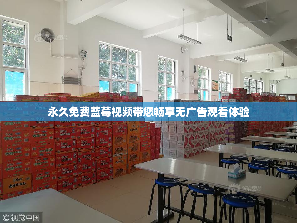 永久免费蓝莓视频带您畅享无广告观看体验