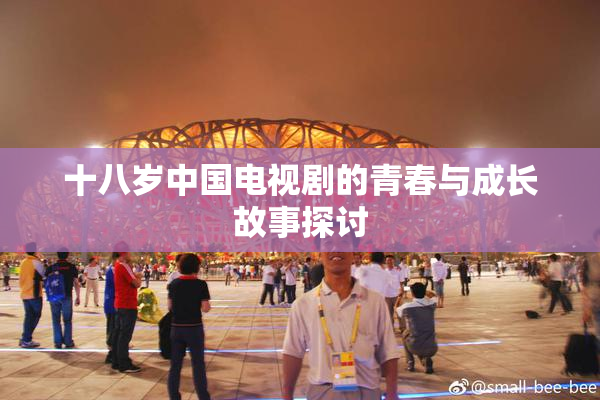 十八岁中国电视剧的青春与成长故事探讨
