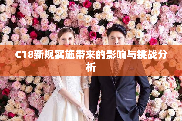 C18新规实施带来的影响与挑战分析