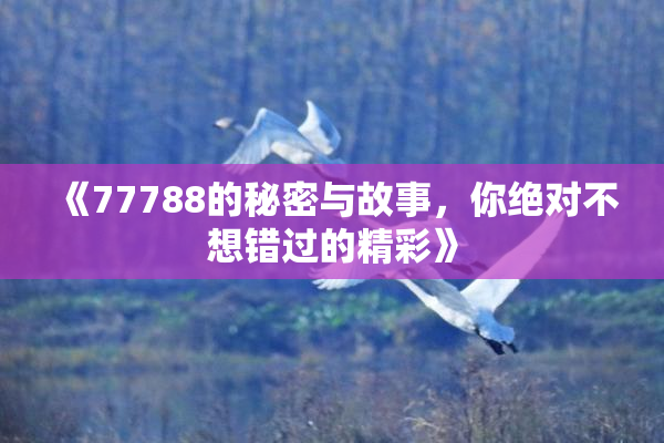 《77788的秘密与故事，你绝对不想错过的精彩》