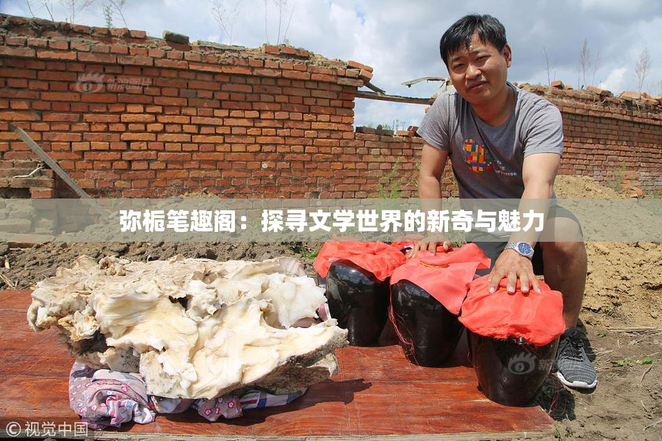 弥栀笔趣阁：探寻文学世界的新奇与魅力