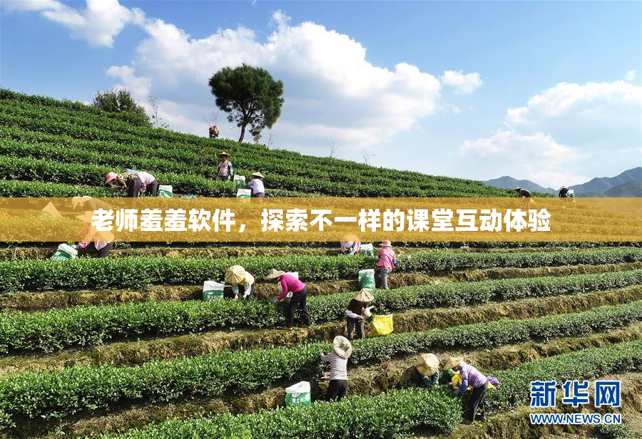 老师羞羞软件，探索不一样的课堂互动体验