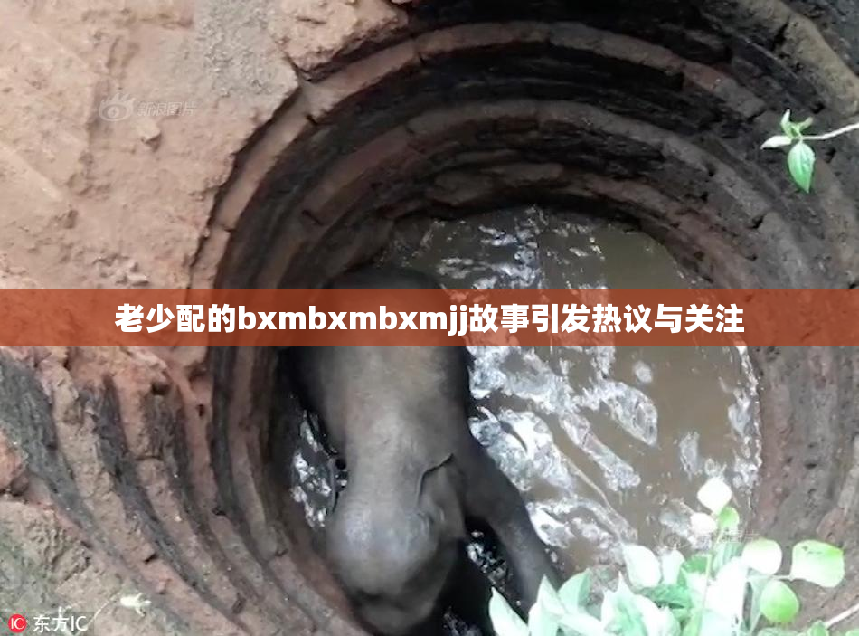 老少配的bxmbxmbxmjj故事引发热议与关注