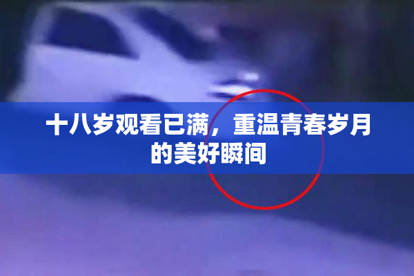 十八岁观看已满，重温青春岁月的美好瞬间