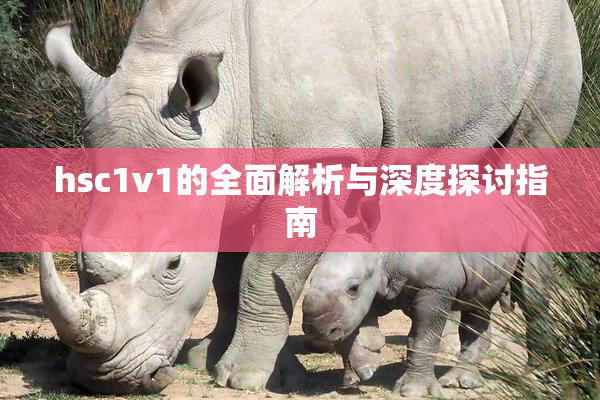 hsc1v1的全面解析与深度探讨指南