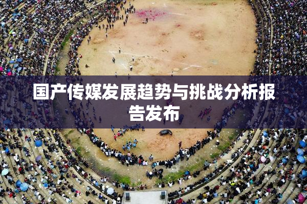 国产传媒发展趋势与挑战分析报告发布