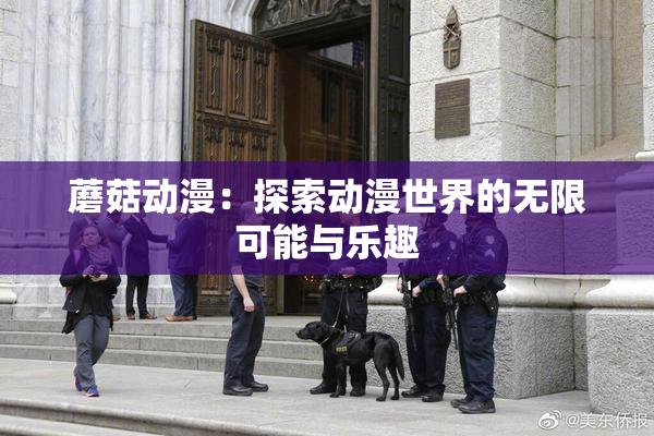 蘑菇动漫：探索动漫世界的无限可能与乐趣