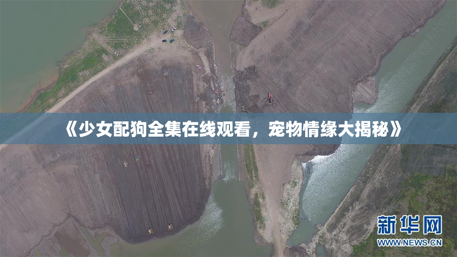 《少女配狗全集在线观看，宠物情缘大揭秘》