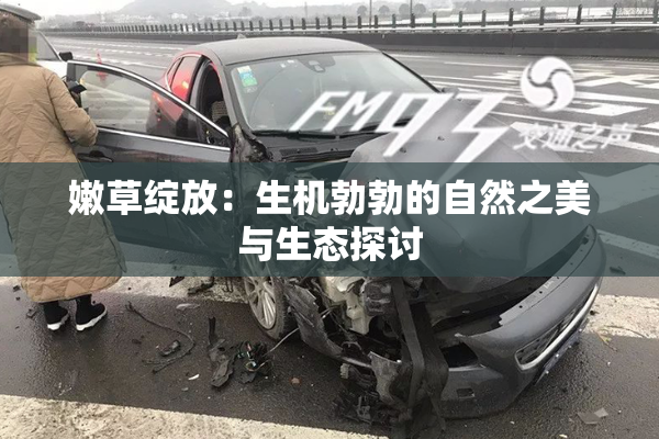 嫩草绽放：生机勃勃的自然之美与生态探讨