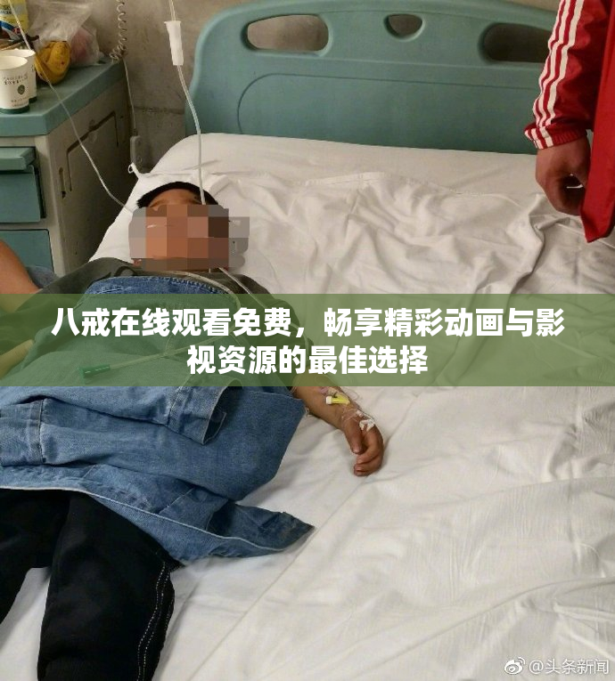 八戒在线观看免费，畅享精彩动画与影视资源的最佳选择