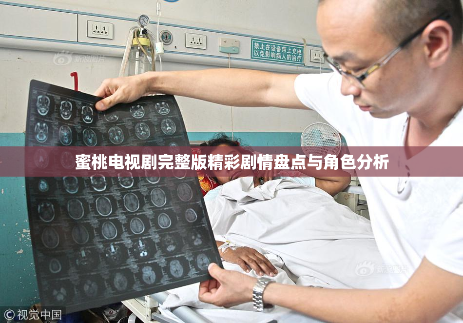 蜜桃电视剧完整版精彩剧情盘点与角色分析