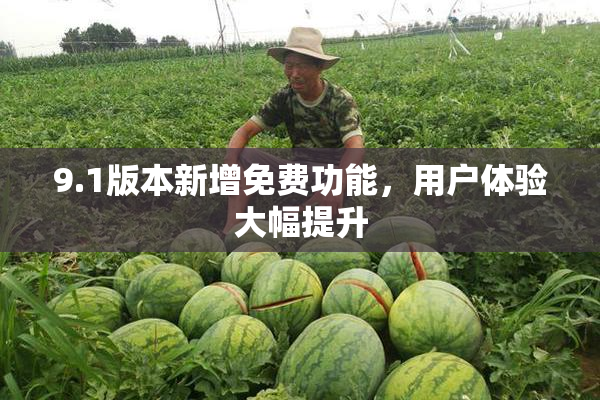 9.1版本新增免费功能，用户体验大幅提升