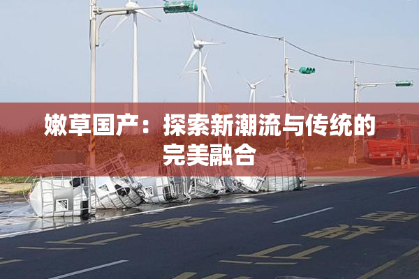 嫩草国产：探索新潮流与传统的完美融合