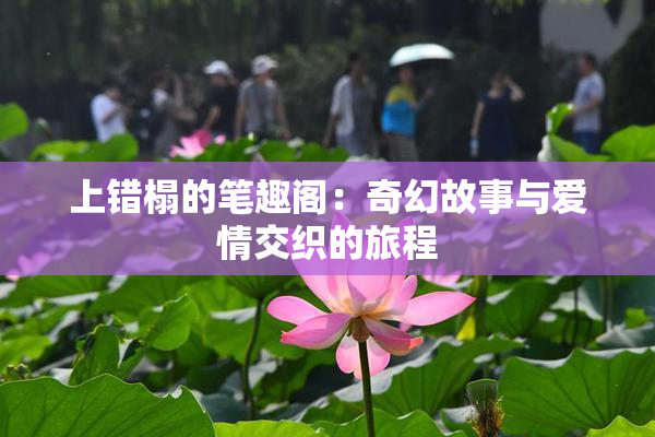 上错榻的笔趣阁：奇幻故事与爱情交织的旅程