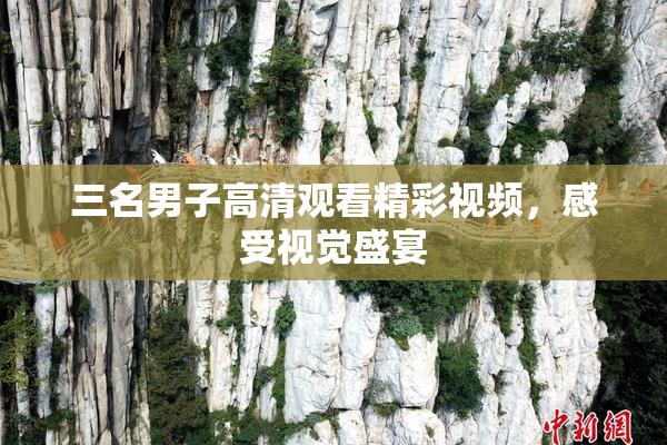 三名男子高清观看精彩视频，感受视觉盛宴