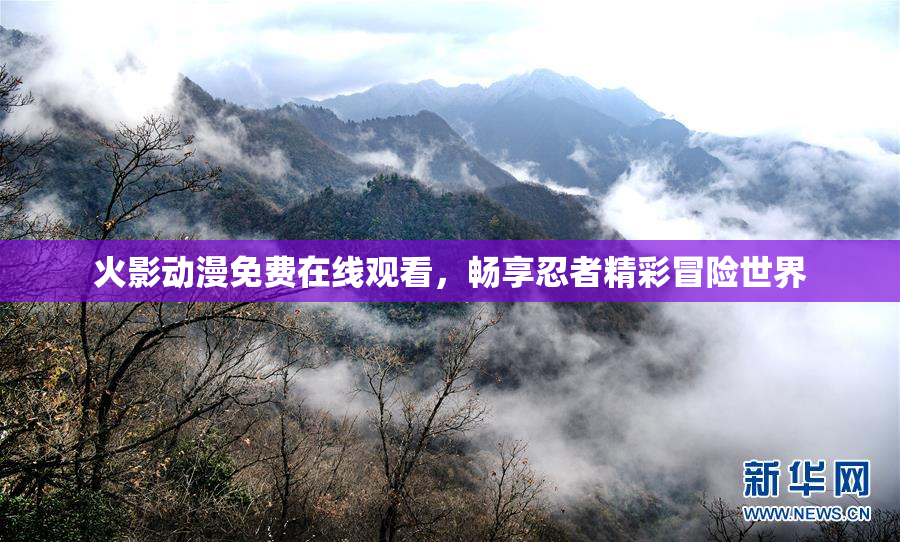火影动漫免费在线观看，畅享忍者精彩冒险世界