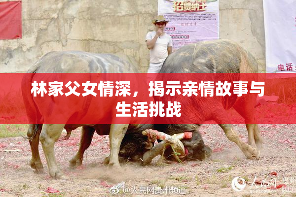 林家父女情深，揭示亲情故事与生活挑战