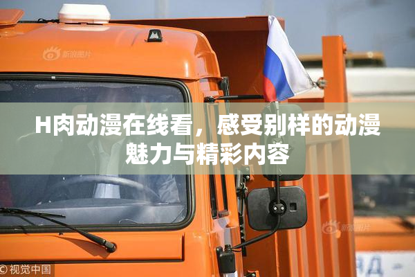 H肉动漫在线看，感受别样的动漫魅力与精彩内容