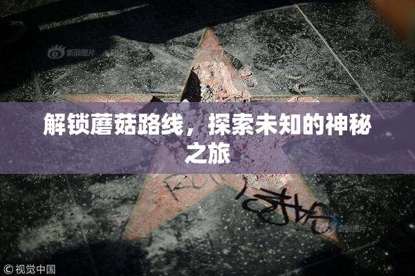 解锁蘑菇路线，探索未知的神秘之旅