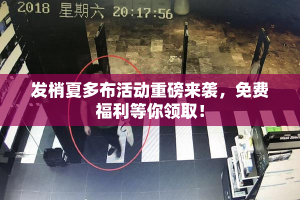 发梢夏多布活动重磅来袭，免费福利等你领取！