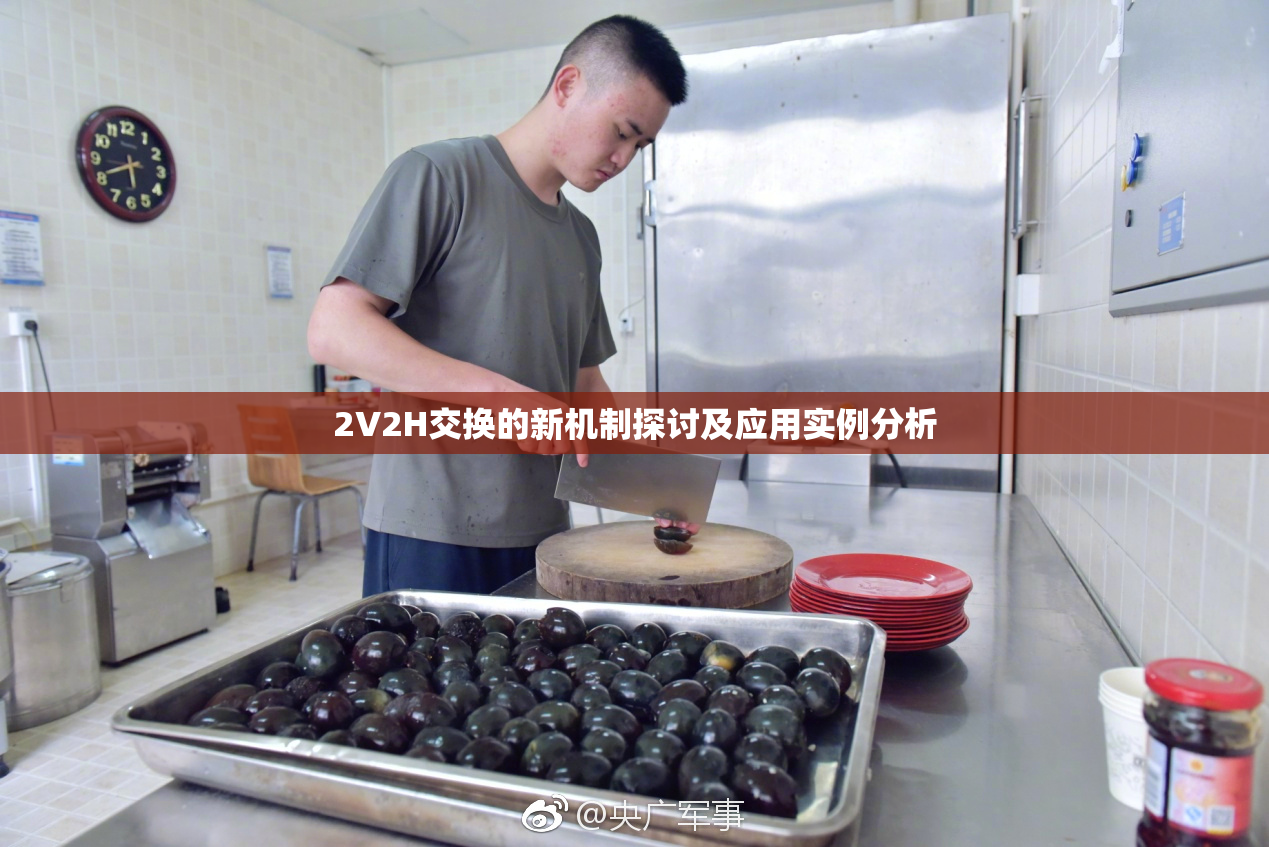 2V2H交换的新机制探讨及应用实例分析