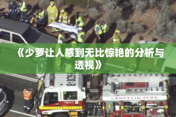 《少萝让人感到无比惊艳的分析与透视》