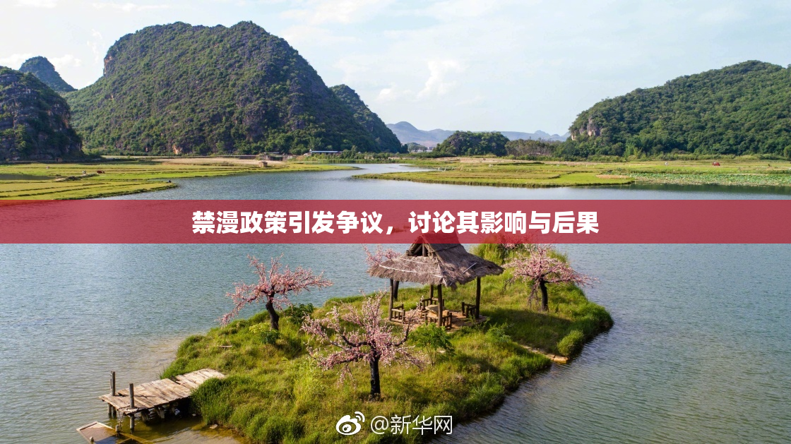 禁漫政策引发争议，讨论其影响与后果
