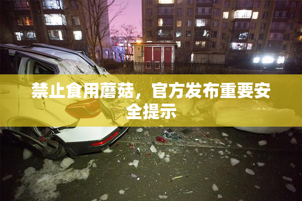 禁止食用蘑菇，官方发布重要安全提示