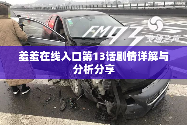 羞羞在线入口第13话剧情详解与分析分享