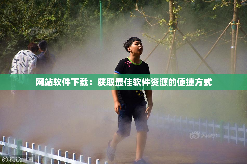 网站软件下载：获取最佳软件资源的便捷方式
