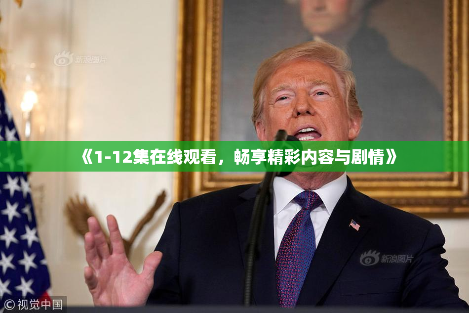 《1-12集在线观看，畅享精彩内容与剧情》
