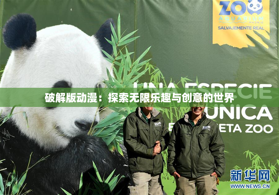 破解版动漫：探索无限乐趣与创意的世界