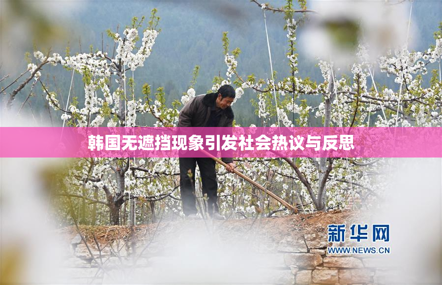 韩国无遮挡现象引发社会热议与反思