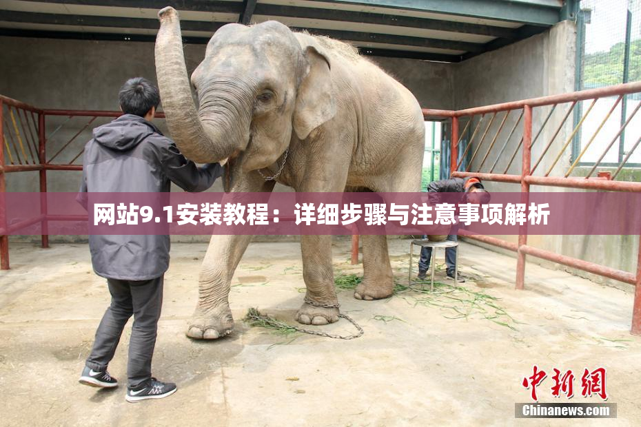 网站9.1安装教程：详细步骤与注意事项解析