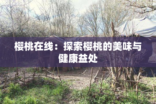 樱桃在线：探索樱桃的美味与健康益处