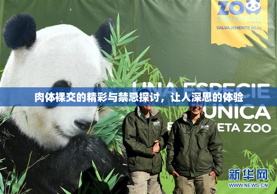 肉体裸交的精彩与禁忌探讨，让人深思的体验