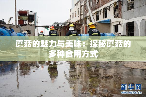 蘑菇的魅力与美味：探秘蘑菇的多种食用方式